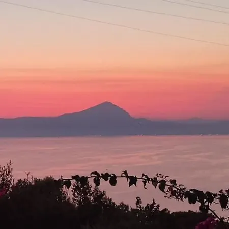 Carmelina - Cersuta Di Villa *