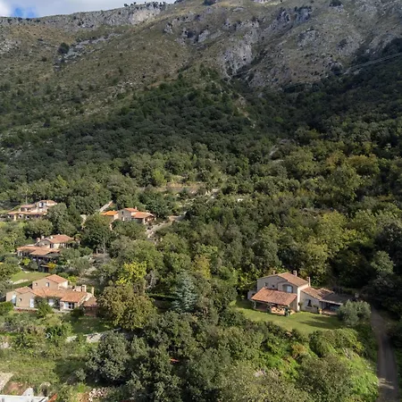 Carmelina - Cersuta Di Maratea