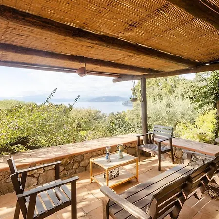 Carmelina - Cersuta Di Villa *