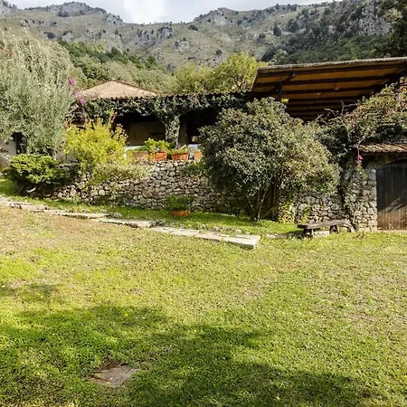 Carmelina - Cersuta Di Villa Maratea