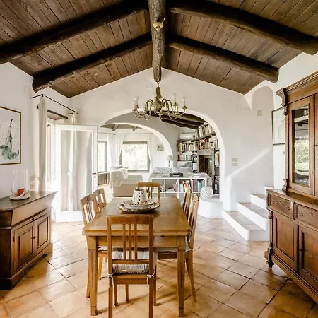 Carmelina - Cersuta Di Villa