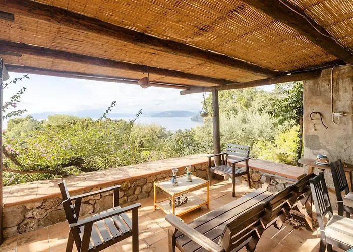 Carmelina - Cersuta Di Villa *