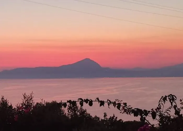 Carmelina - Cersuta Di Villa *