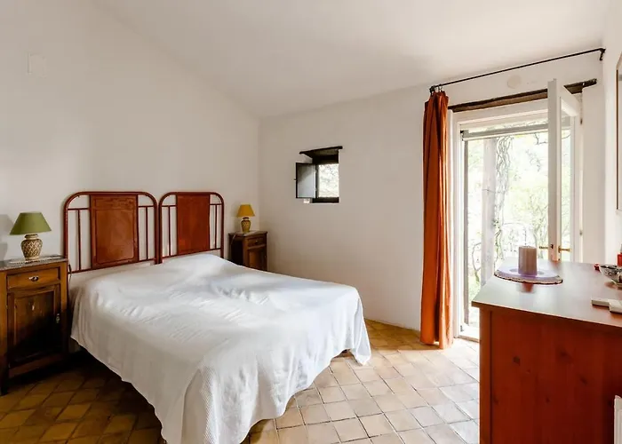 Carmelina - Cersuta Di *