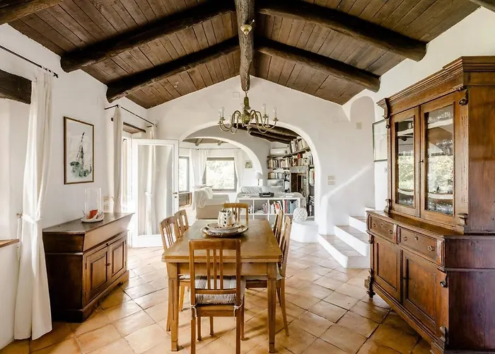 Carmelina - Cersuta Di Villa