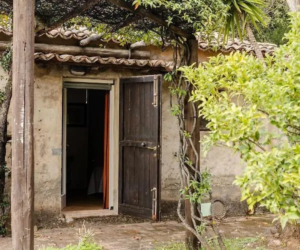 Carmelina - Cersuta Di * Maratea